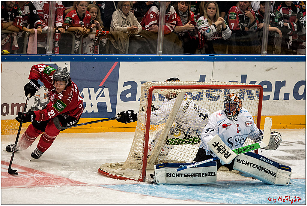 Koelner Haie - Straubing Tigers, 03.10.2016